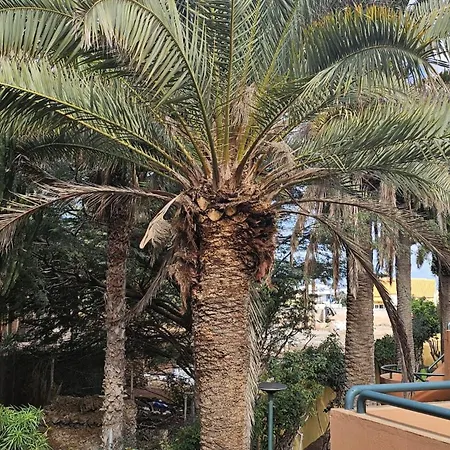 Corralejo Sun Apartmán